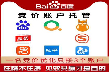 某电商平台的SEM广告投放全流程解析