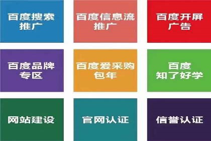 竞价代运营的成果展示：某公司广告效果显著提升的秘诀